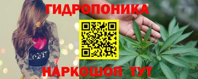стаф Жуковский
